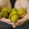 Pepper X - nová nejpálivější chilli paprička na světě?