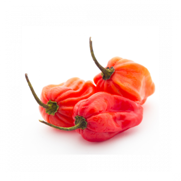 Habanero