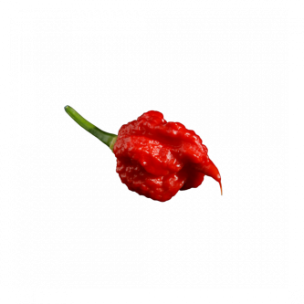 Carolina Reaper