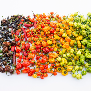 Seznam nejpálivějších chilli papriček na světě: Ohnivá cesta skrz Scovilleho stupnici pálivosti